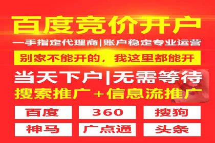 SEM服务公司助力企业流量增长案例